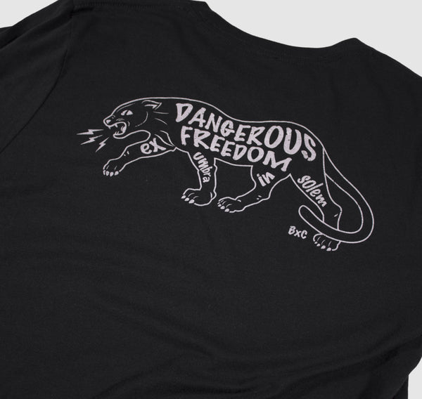 -Dangerous Freedom-